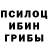 Псилоцибиновые грибы Magic Shrooms Nikoloz Arabidze