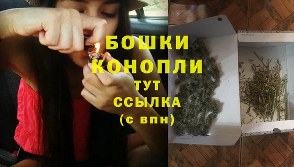 2c-b Лагань